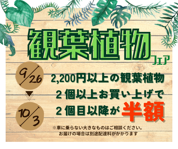 【9月26日～10月3日】観葉植物フェア　開催！