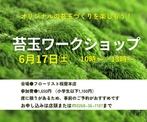 【6月17日】苔玉ワークショップ　開催！