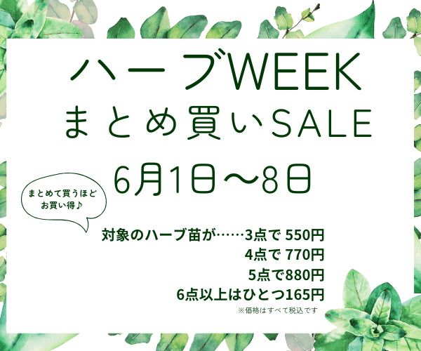 【6月1日(日)～8日(日)】ハーブWEEK　開催！