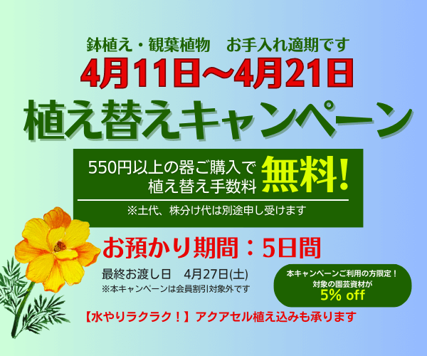 【4月11日～21日】春の植え替えキャンペーン 開催！