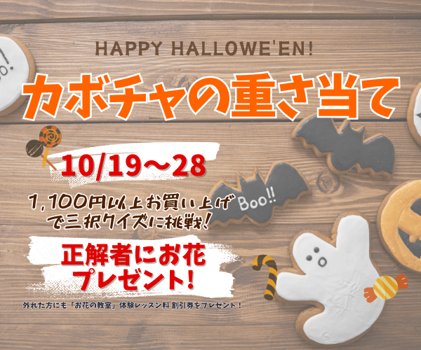 【10月19日～28日】カボチャの重さ当てクイズ　開催♪