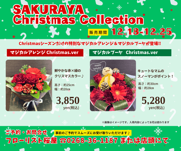 【12月18日～25日 限定販売】マジカルアレンジ＆マジカルブーケ Christmas.ver