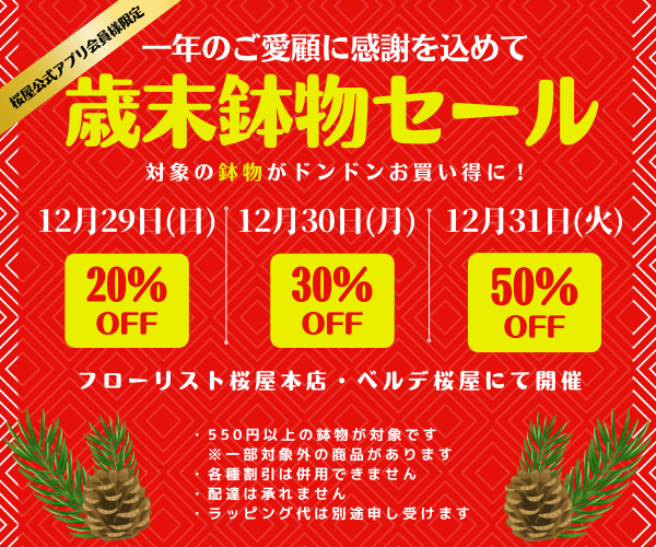 【12月29日～31日】アプリ会員様限定！ 歳末鉢物セール