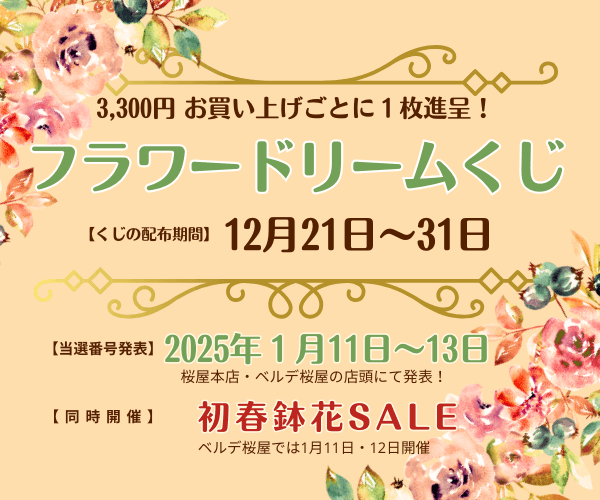 【12月21日～31日】フラワードリームくじ　開催！