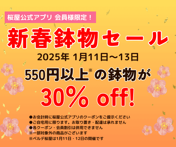 【2025年1月11日～13日】　桜屋公式アプリ会員様限定！ 新春鉢物セール