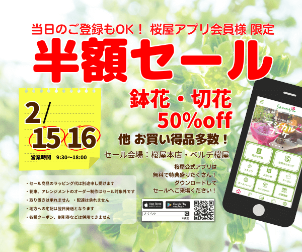 【2月15日(土),16日(日)】当日ご登録OK！アプリ会員様限定 鉢花・切花半額セール