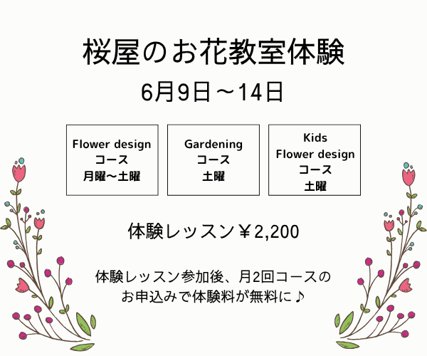 【6月9日~14日】スクール体験 開催!
