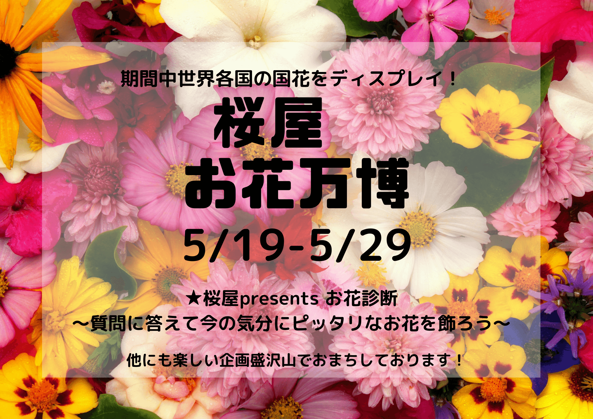【5月19日～29日】桜屋お花万博　開催！！