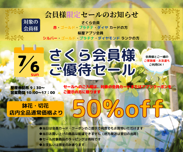 【7月6日(日)】切花・鉢花半額！　さくら会員様ご優待セール
