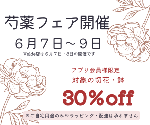 【6月7日(土)～9日(月)】芍薬フェア開催！！