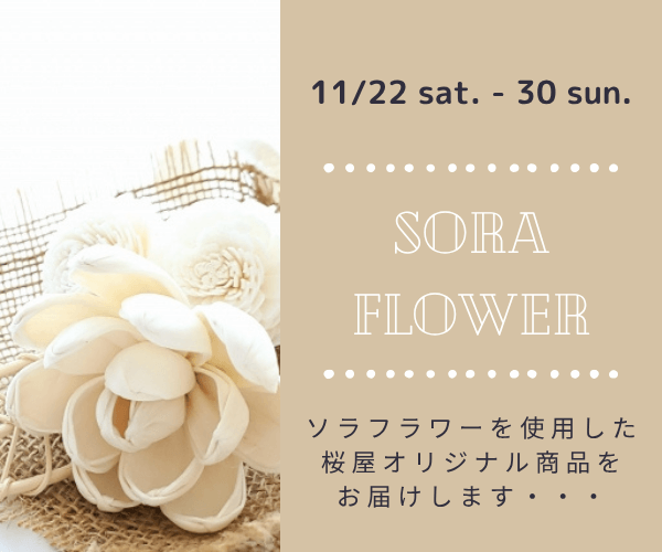 【11月22日～30日】ソラフラワーの世界ーホワイトシリーズー