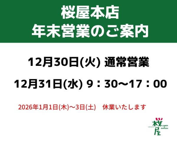 桜屋本店・ベルデ店　年末営業日のお知らせ