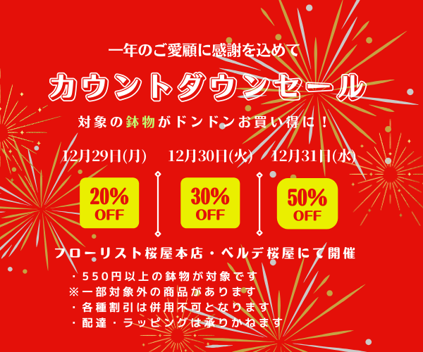 【12月29日～31日】 カウントダウンセール