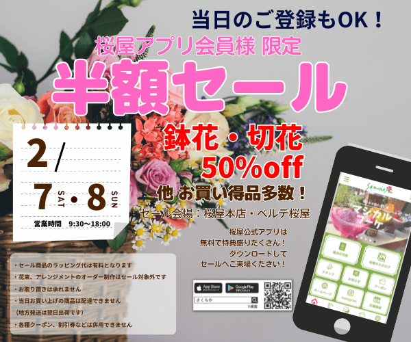 【2/7・8】アプリ会員様限定半額SALE開催！